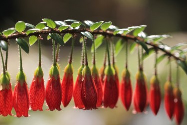 中山黄圃私人快速借钱网，轻松解决资金难题