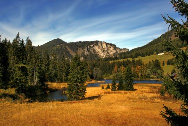 中山黄圃民间私贷攻略：揭秘低成本借贷的秘密