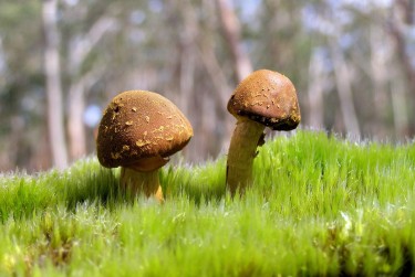 中山黄圃私人老板放款：轻松融资的秘密通道